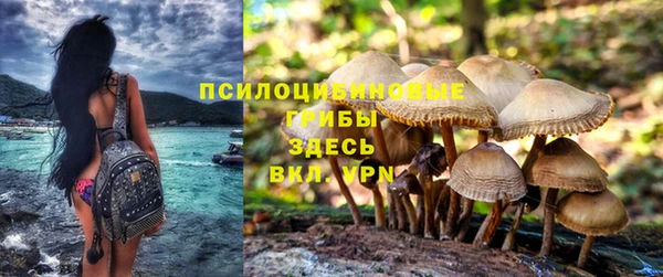 круглые Арсеньев